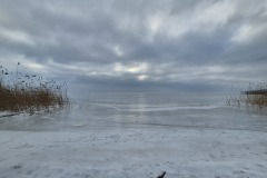 20260208_141928