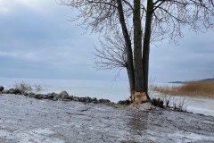 IMG_8912