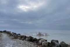IMG_8915