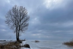 IMG_8916
