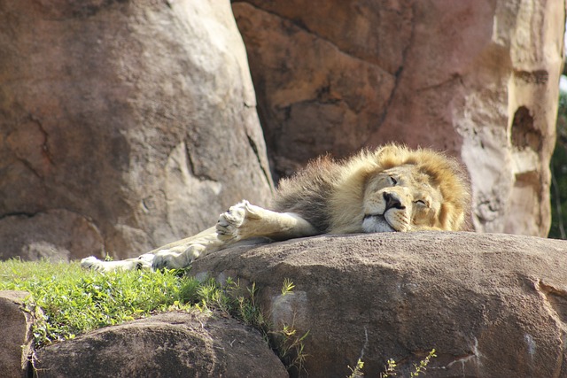 Kenia